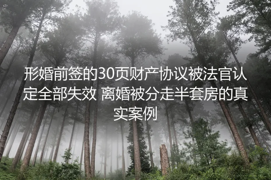 30页形婚财产协议全失效:离婚被分走半套房的真实案例警示