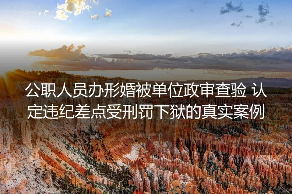 公职人员形婚遇政审翻车:从险被追刑责到安全落地的真实复盘