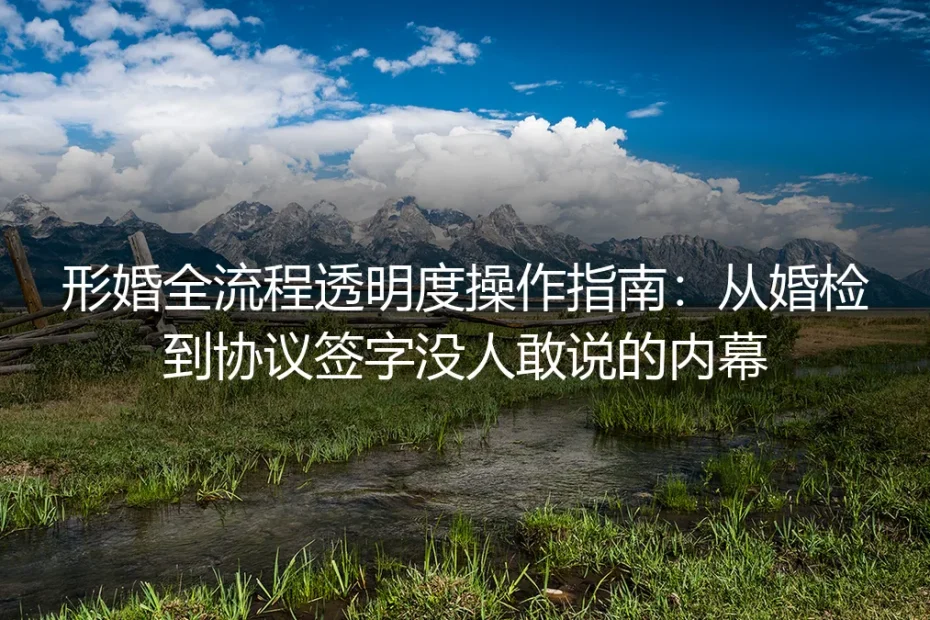 形婚全流程透明度操作指南:从婚检到协议签字没人敢说的避坑内幕