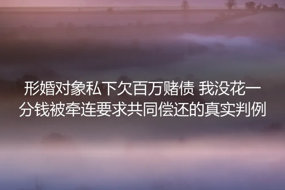 形婚对象私下欠百万赌债未花一分被要求共同偿债？从公开判例拆解形婚风险防控路径