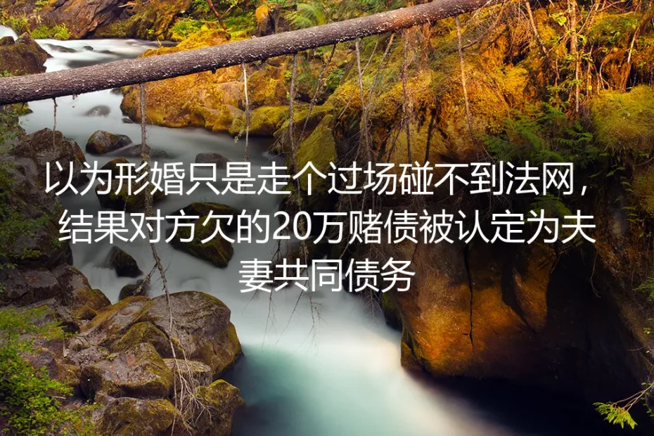 以为形婚只是走个过场？20万赌债牵连案里藏着你不知道的法律红线
