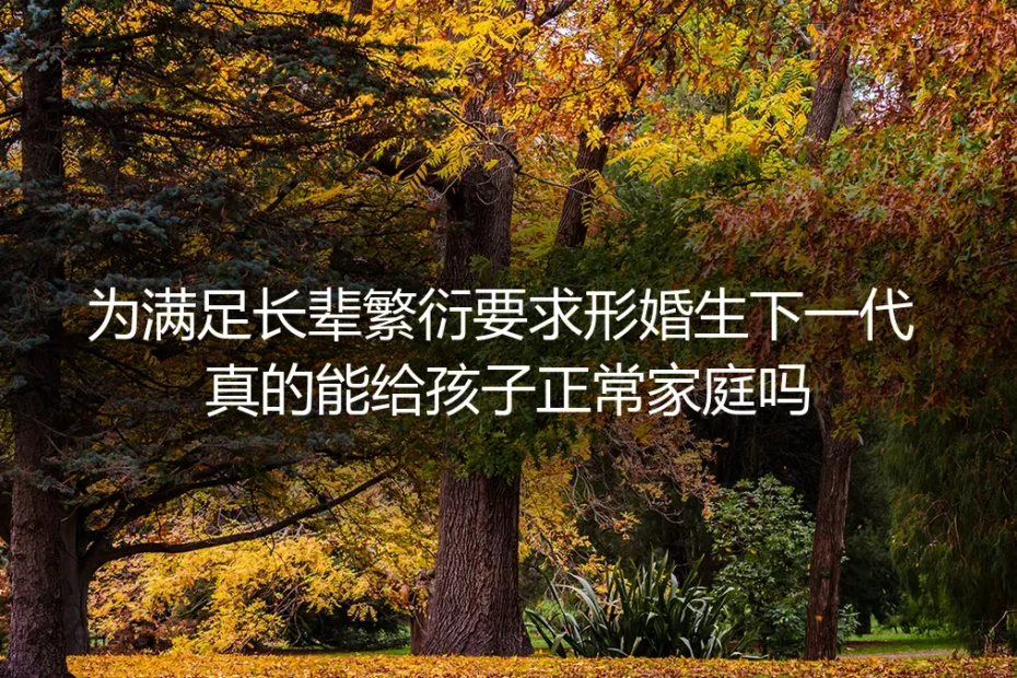 形婚生育深度FAQ：为满足长辈要求生子，真的能给孩子正常家庭吗？