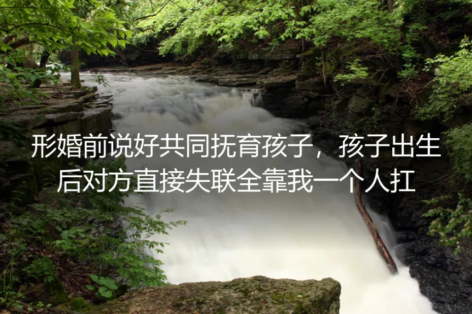 形婚约定共同抚育却遭对方失联:独自扛娃的避坑与破局指南
