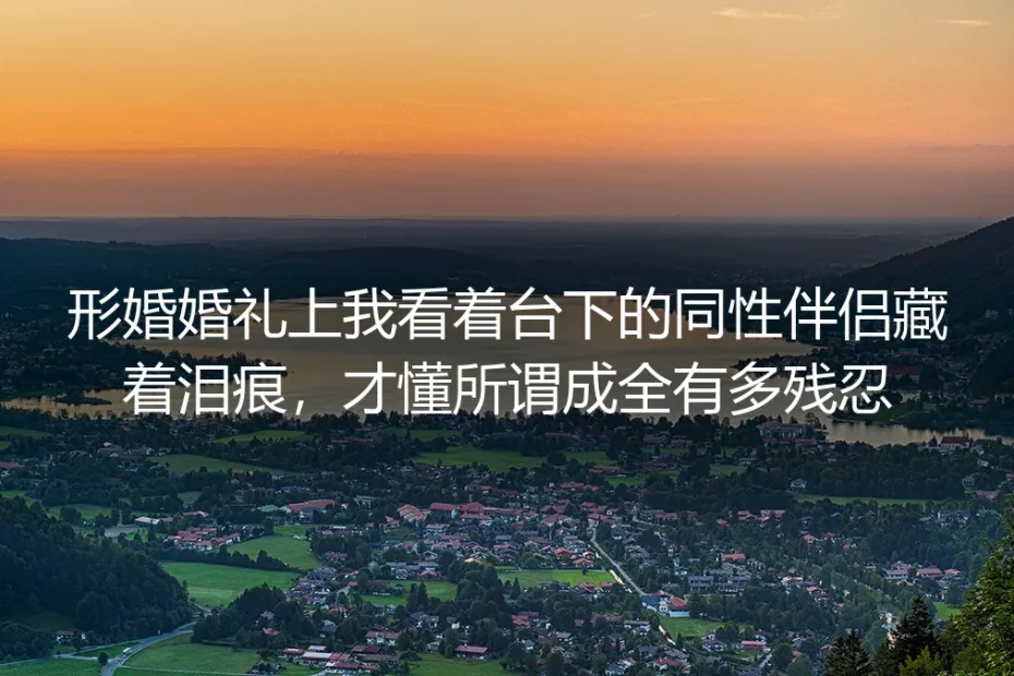 形婚婚礼上我看着台下的同性伴侣藏着泪痕，才懂所谓成全有多残忍