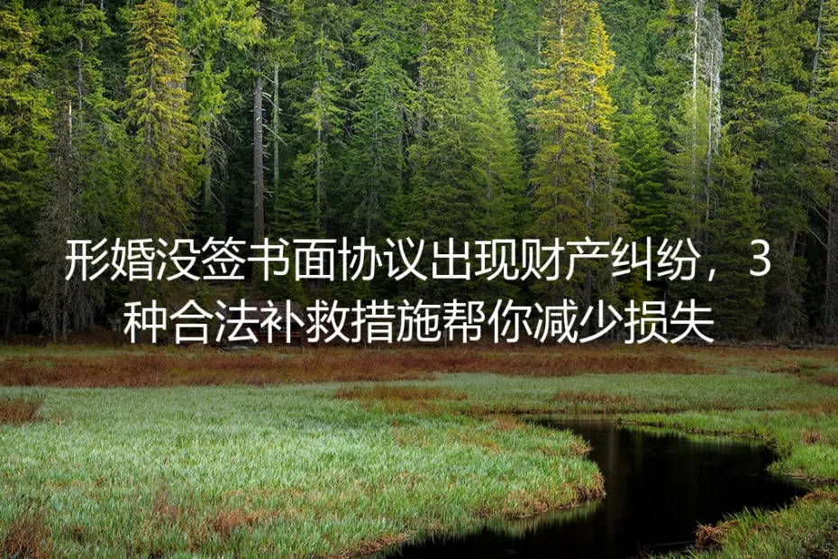 形婚未签书面协议引发财产纠纷？保姆级避坑与合法补救实操指南