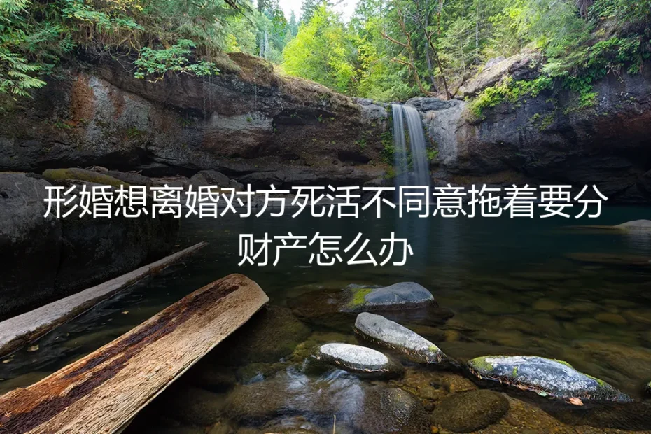 形婚想离婚对方死活不同意、拖着要分财产怎么办？深度答疑FAQ
