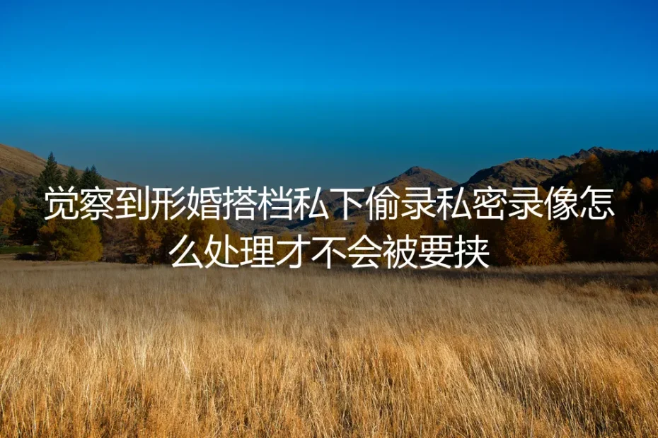 觉察到形婚搭档私录私密录像怎么处理？保姆级防要挟实操指南