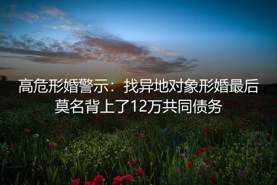 高危形婚警示：找异地对象形婚，我莫名背上12万共同债务