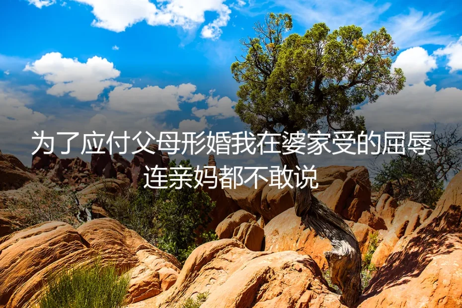 年夜饭桌上的擦桌布：我形婚三年的委屈，没敢告诉亲妈