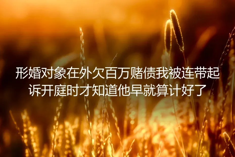 形婚对象在外欠百万赌债我被连带起诉：开庭才知他从一开始就算计好了