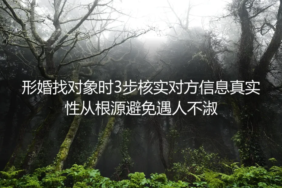 形婚找对象保姆级避坑指南：3步核实对方信息真实性，从根源杜绝遇人不淑