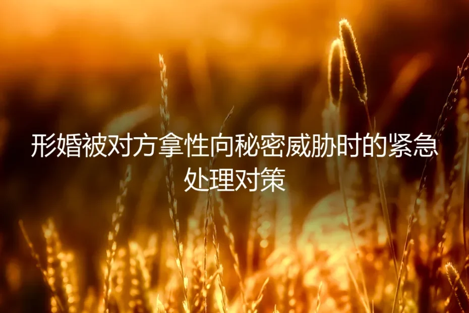 形婚被对方拿性向秘密威胁？保姆级紧急处理与避坑全指南
