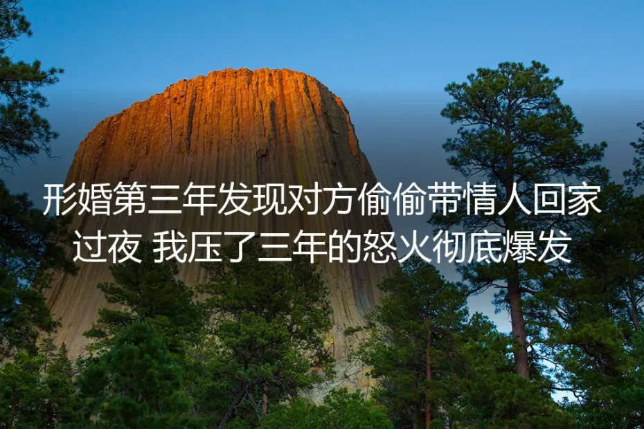 形婚第三年撞见对方带情人回家：我压了三年的怒火，终于烧明白了