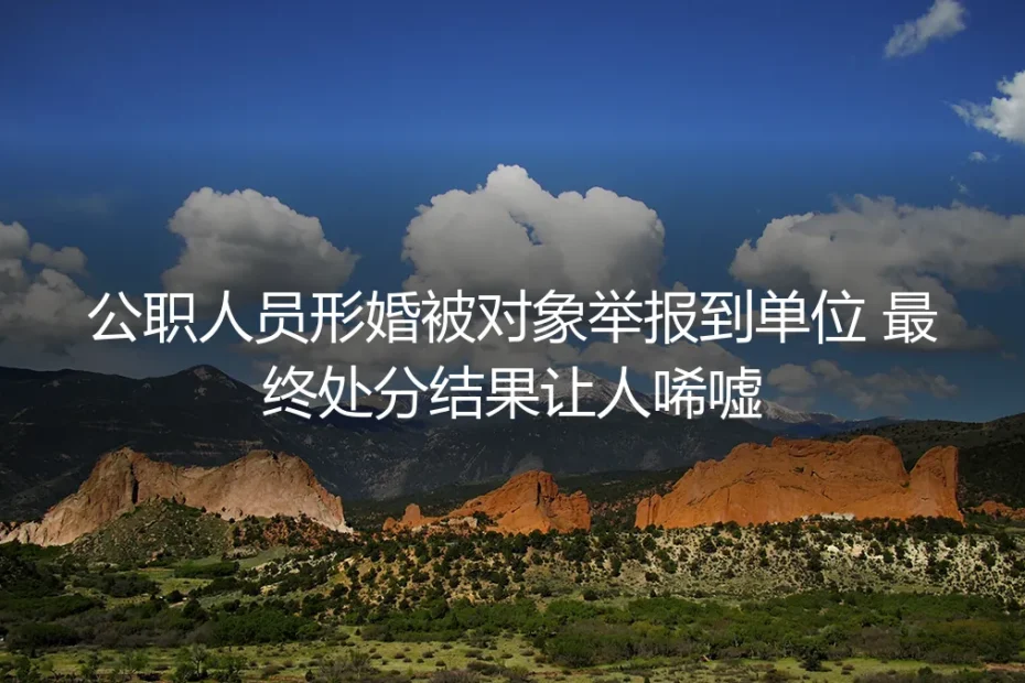 公职人员形婚遭伴侣举报至单位受处分：踩线的形式婚姻为何满盘皆输