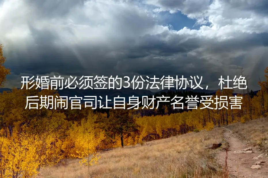 形婚实操避坑指南：签好3份法律协议，杜绝财产损失与名誉纠纷