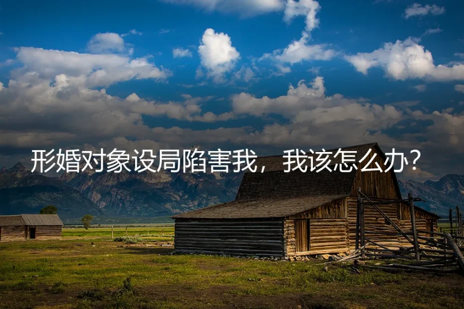 形婚对象设局陷害我,我该怎么办?