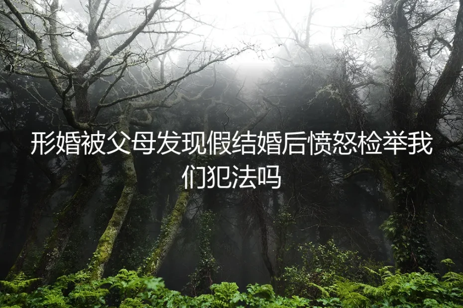 形婚被父母发现假结婚后愤怒检举,我们犯法吗?