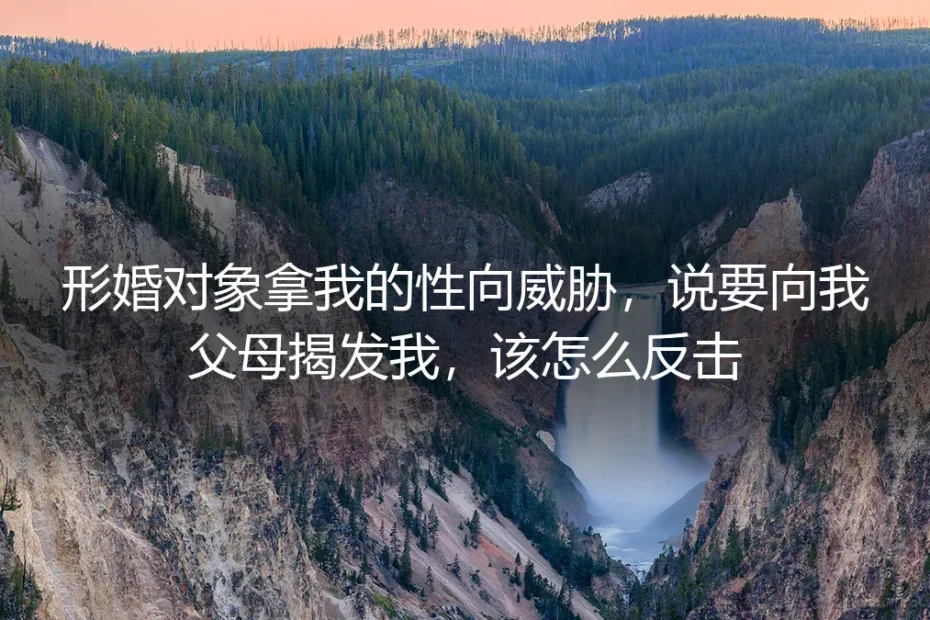 形婚对象以性向威胁要揭发我,如何冷静反击并保全自己?