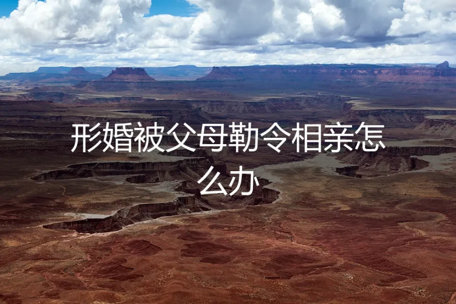 形婚被父母勒令相亲怎么办?深度答疑:风险前置与契约精神
