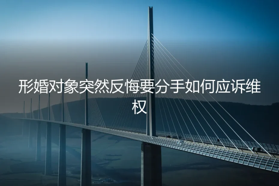 形婚对象突然反悔要分手,如何应诉维权?——一场现实博弈的深度拆解