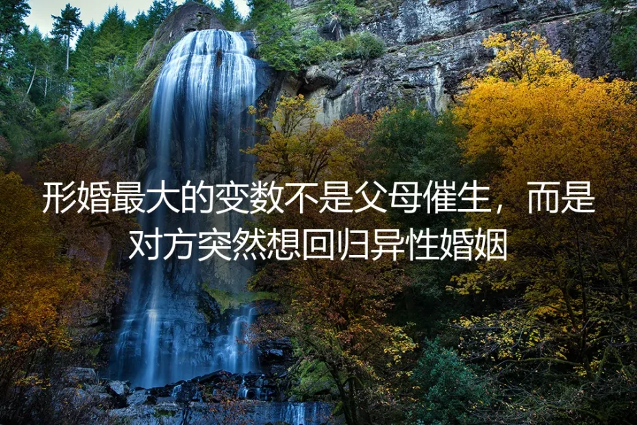 形婚最大的变数:不是父母的催生,而是他突然想回归异性婚姻