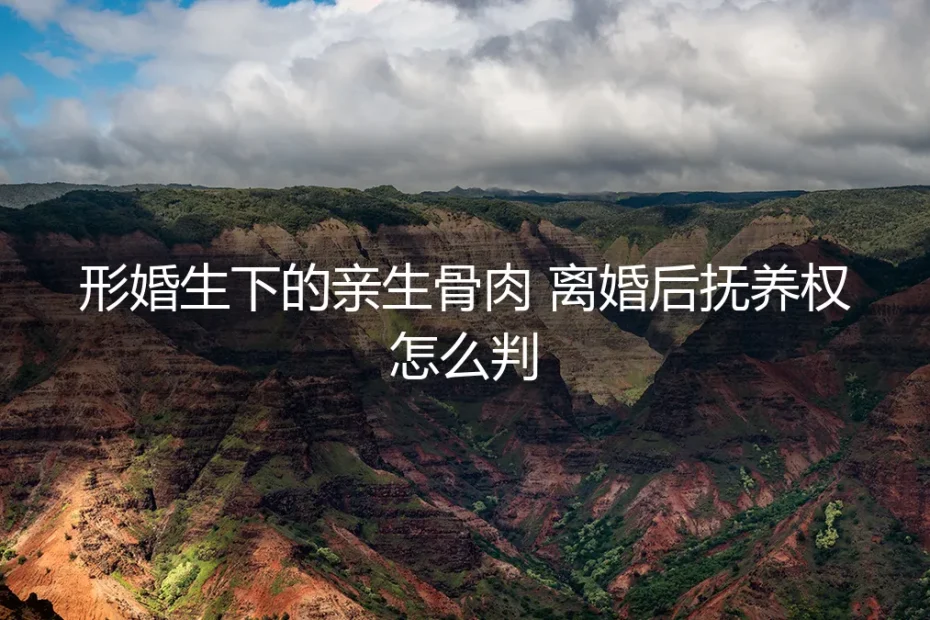 形婚生下的亲生骨肉,离婚后抚养权怎么判?——高频法律答疑