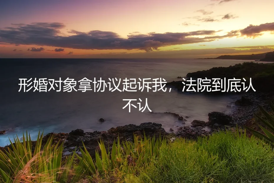 形婚对象拿协议起诉我,法院到底认不认?