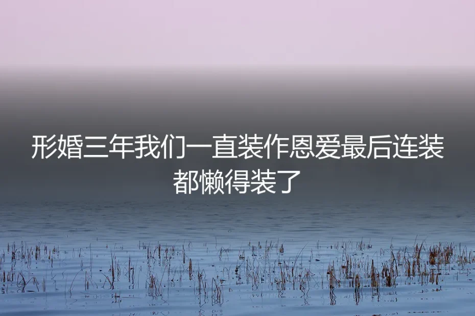 形婚三年,我们终于不再假装恩爱