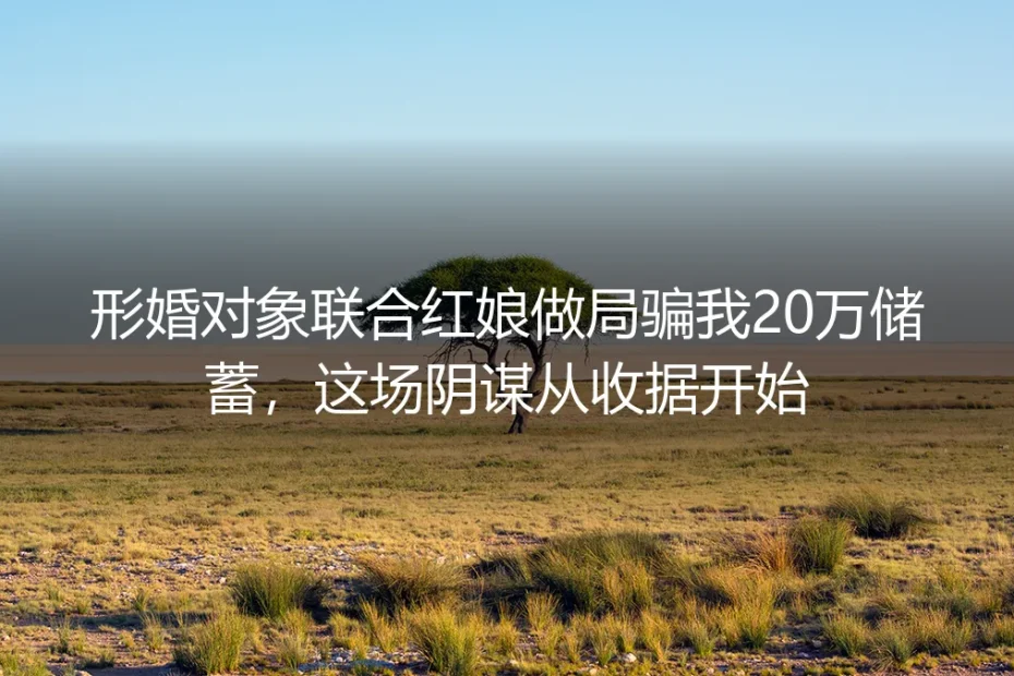 形婚骗局20万:当红娘与形婚对象联手设局,我如何从一张收据识破阴谋