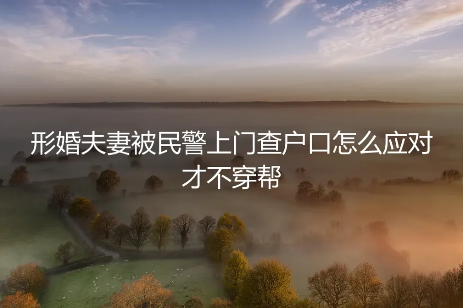 形婚夫妻被民警上门查户口怎么应对才不穿帮?保姆级实操避坑指南