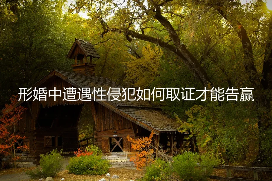 形婚中遭遇性侵犯，如何取证才能告赢？