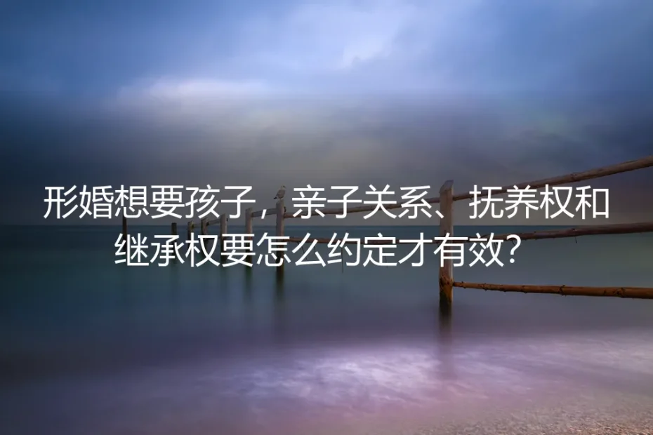 形婚要孩子必读:亲子关系、抚养权与继承权的合法约定指南