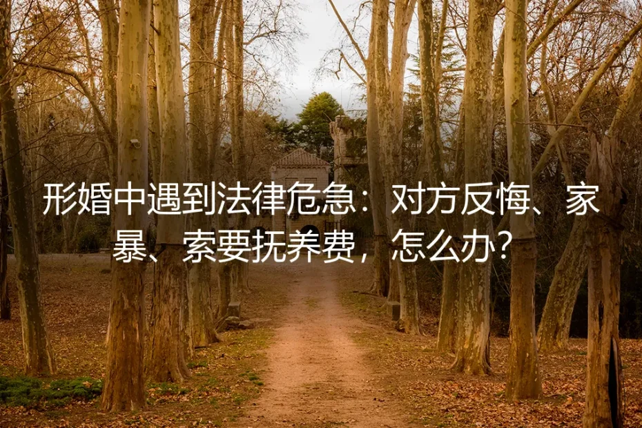 形婚中遇到法律危急:对方反悔、家暴、索要抚养费,怎么办?——保姆级实操避坑指南