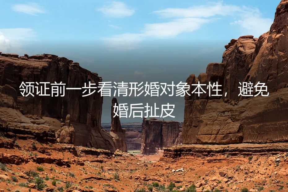 领证前一步看清形婚对象本性,避免婚后扯皮