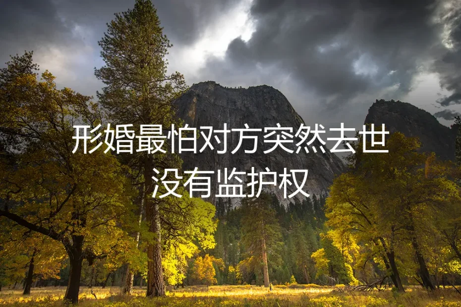 形婚中一方突然去世,另一方为何拿不到“监护权”?深度答疑