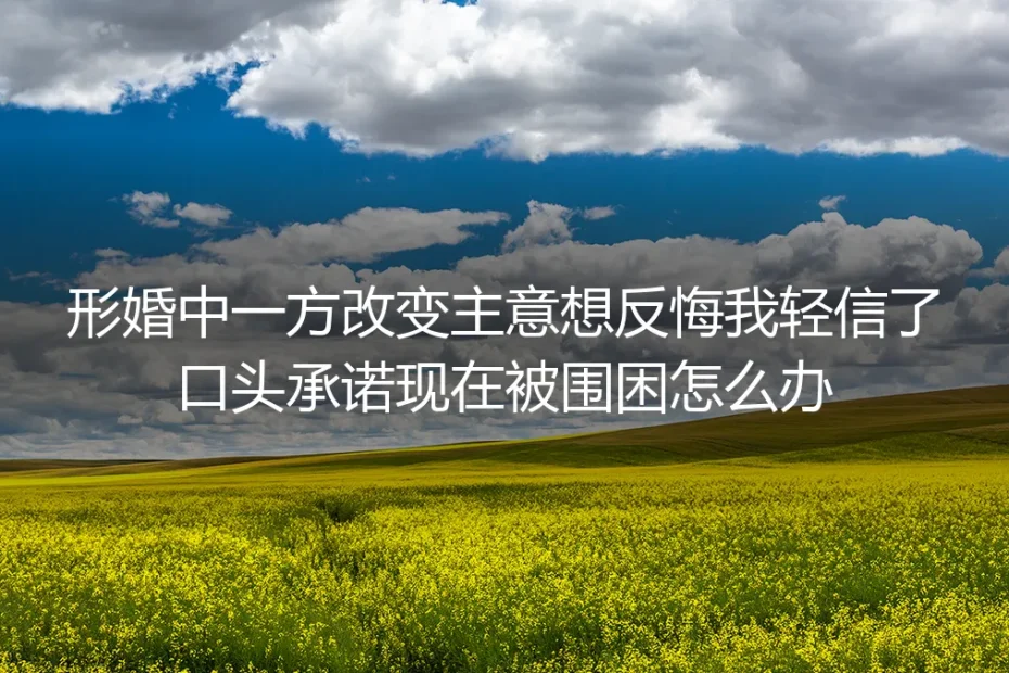 形婚中一方反悔、我轻信口头承诺,现在被围困怎么办?