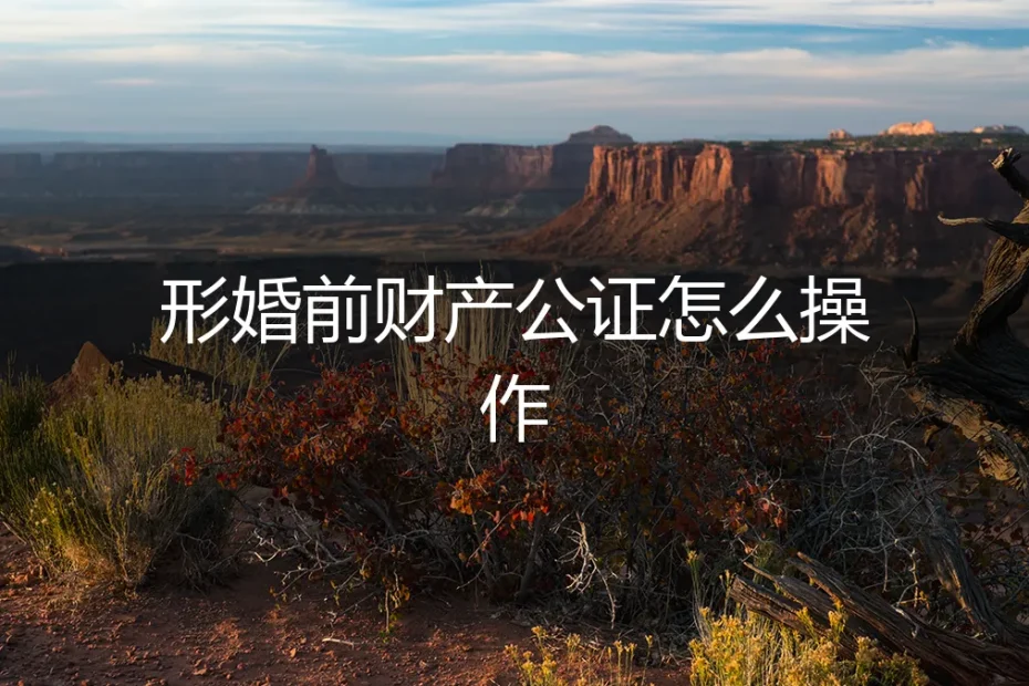 形婚前财产公证怎么操作?保姆级避坑实操指南