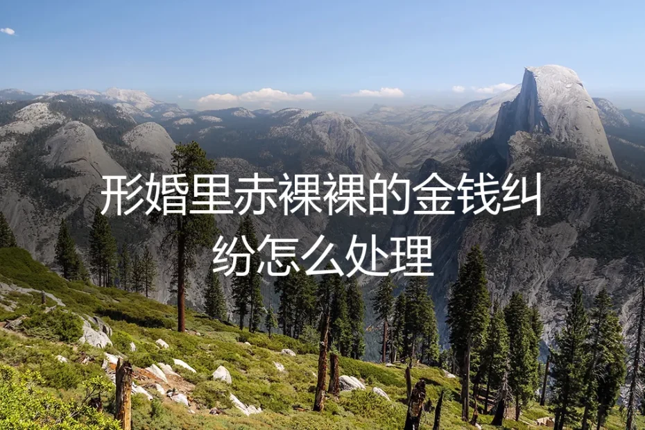 形婚里赤裸裸的金钱纠纷怎么处理:保姆级实操避坑指南