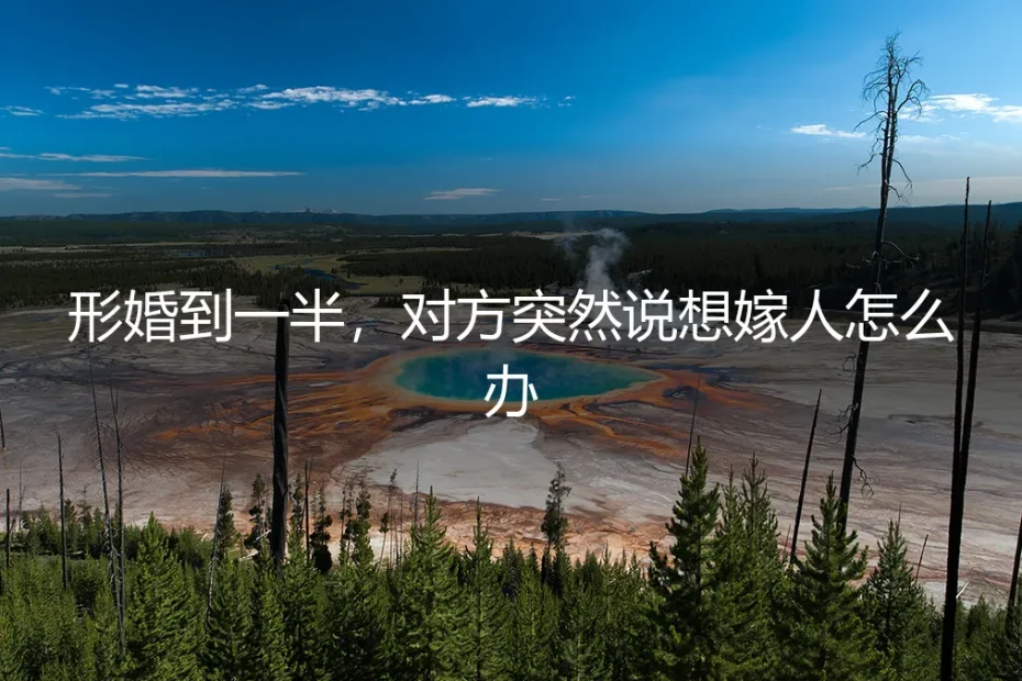 形婚到一半，对方突然说想嫁人怎么办？