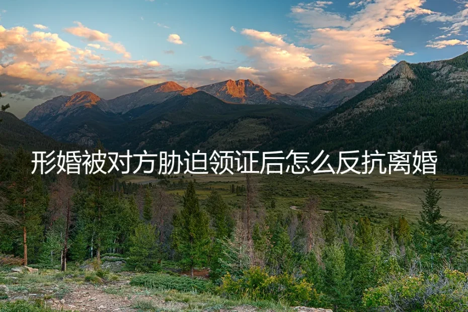 形婚被胁迫领证后,如何反抗离婚?5个高频问题深度答疑