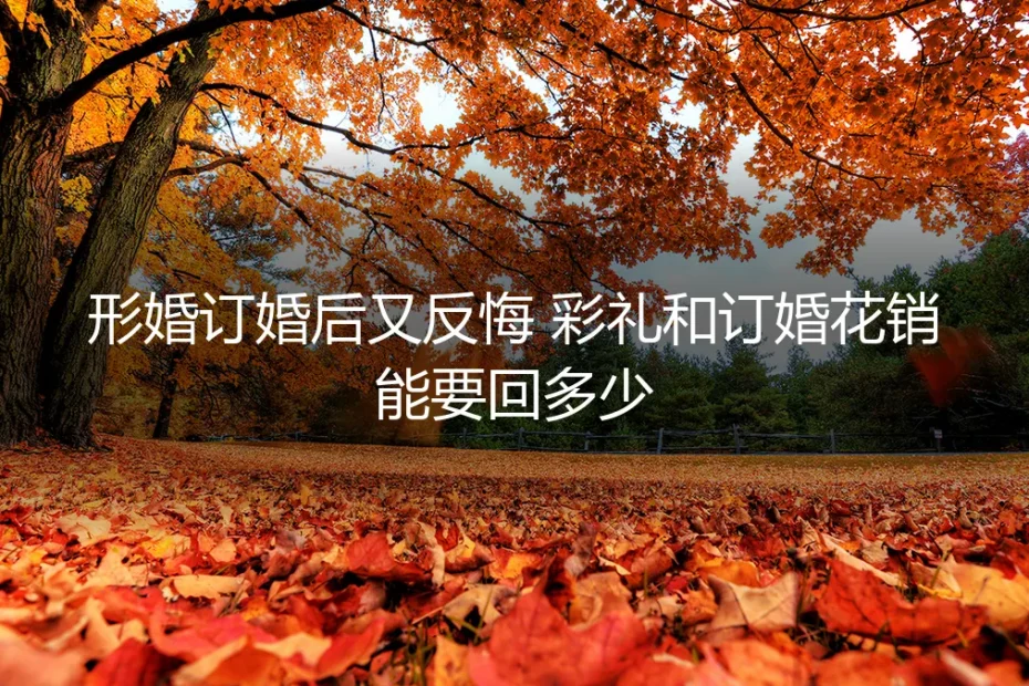 形婚订婚后又反悔，彩礼和订婚花销能要回多少？
