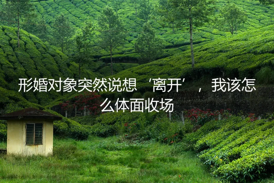形婚对象突然说想“离开”，我该怎么体面收场？