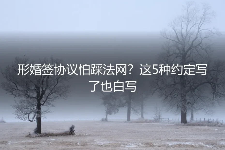 形婚签协议怕踩法网？这5种约定写了也白写